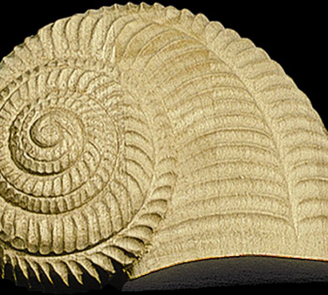 oy2700_2