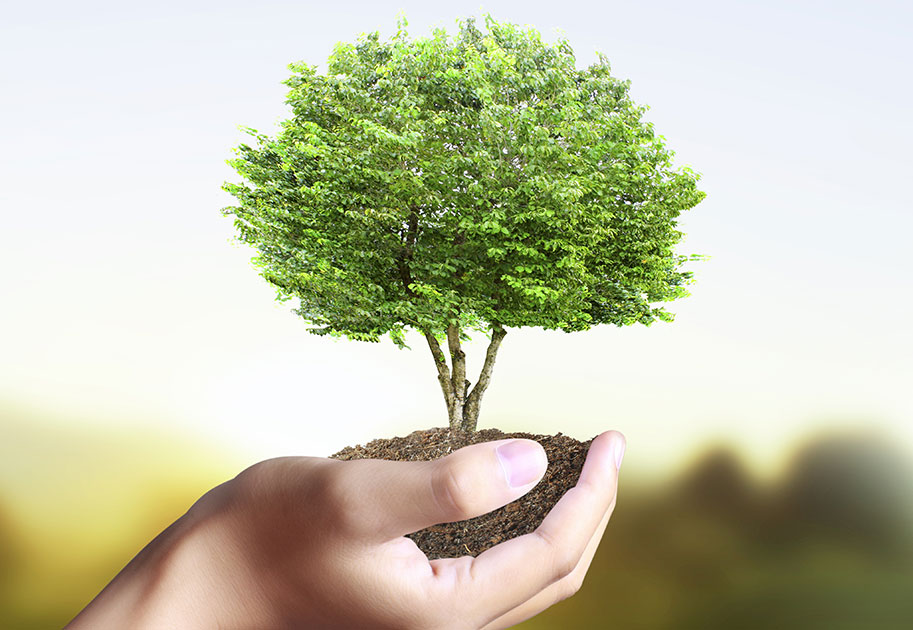 green products concept